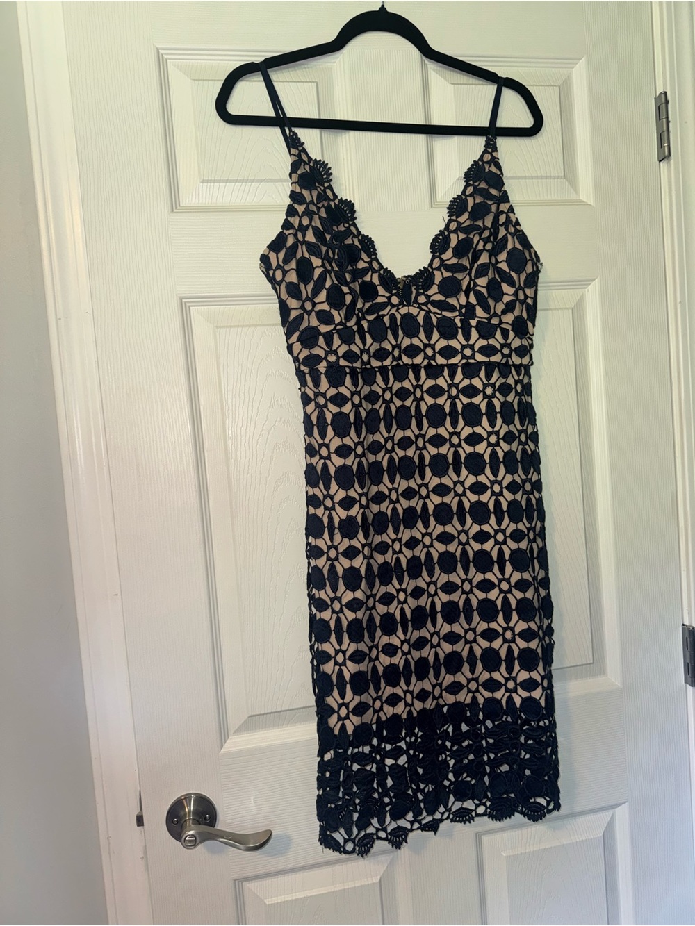 Ark & Co Lace Mini Dress with Nude Lining - Picture 2 of 8